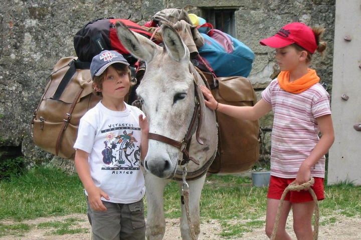 Half-day ride with a donkey between Cévennes and Ardèche mountains