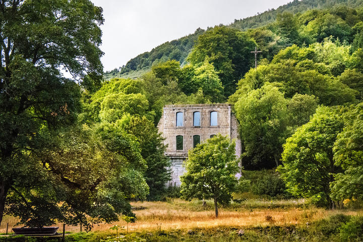 chartreuse de Bonnefoy
