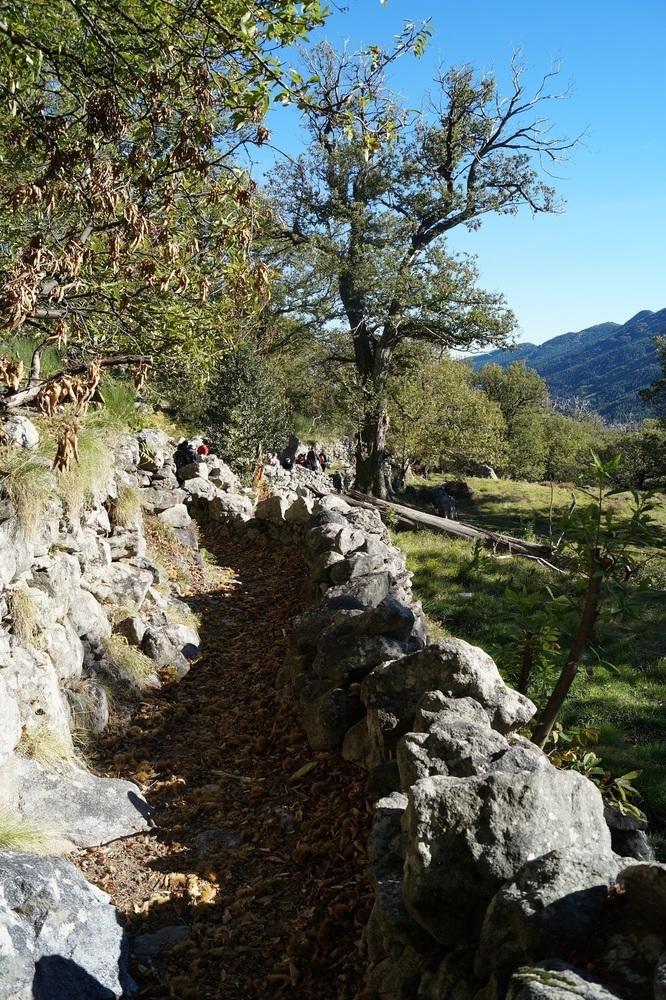 sentier les  ferjasses valgorge