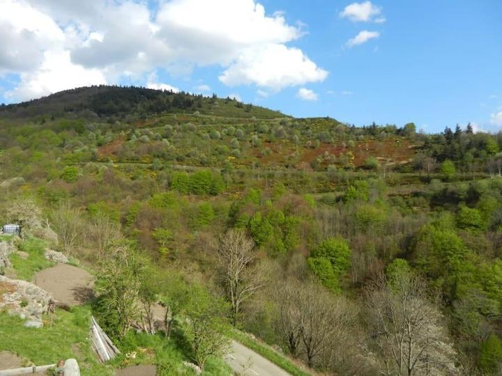 Vue depuis le gîte à l'automne.
