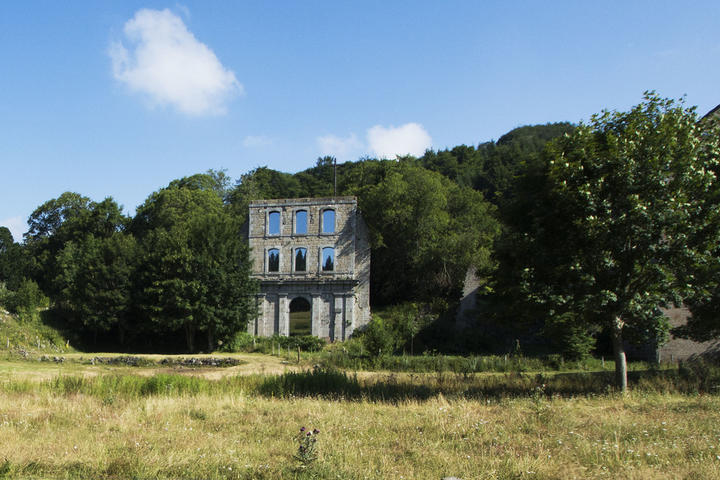 Chartreuse de Bonnefoy