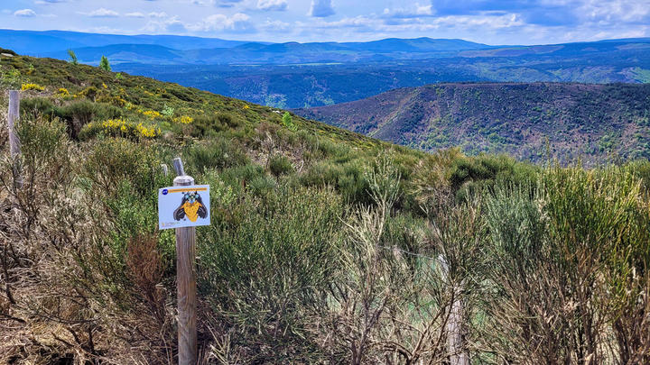Sentier rapaces Sentier des rapaces à Montselgues