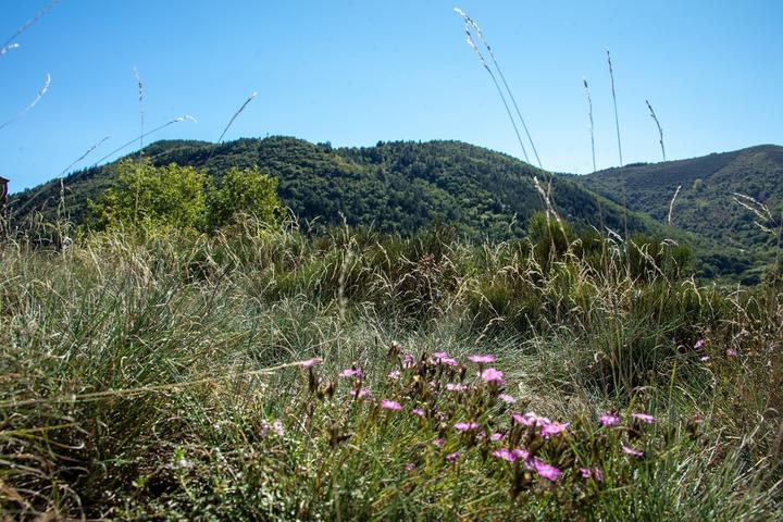 Montpezat sous Bauzon - Faune et montagne ©sourcesetvolcans Montpezat sous Bauzon - Faune et montagne ©sourcesetvolcans