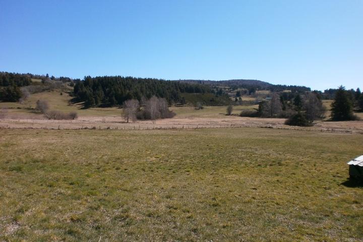 Le pré