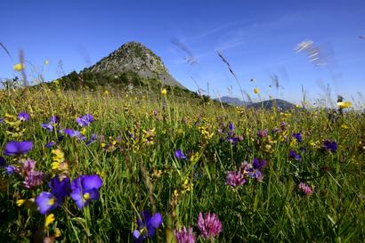 La préservation du Mont Gerbier-de-Jonc La préservation du Mont Gerbier-de-Jonc